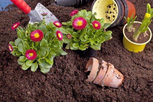 Professional planting services creating a landscaped garden in Morden