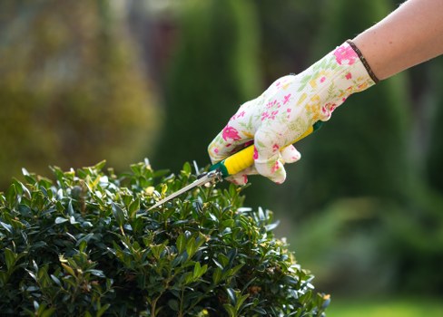 Landscaper assessing a work area and handling garden rubbish carefully