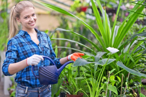 Landscapers Morden team creating a well-designed garden space