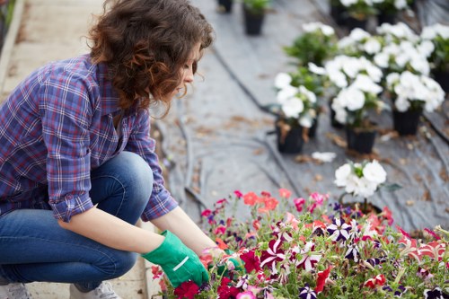 Landscape gardeners designing a Morden garden patio