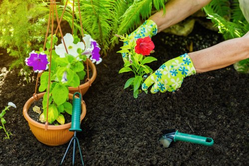 Marketing cookie consent banner displayed on a landscaping webpage