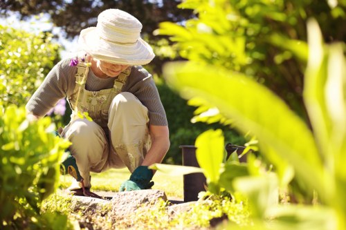 Local lawn care service for a front garden in Morden