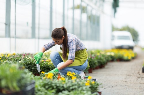 Professional landscapers in Morden transforming a residential garden