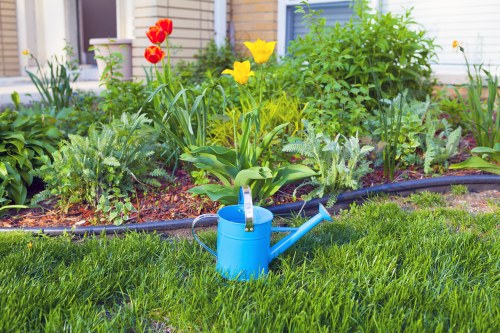 Modern landscaping features for a Morden home