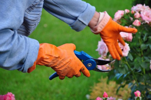 Low-maintenance landscape gardening in Morden with attractive seasonal planting
