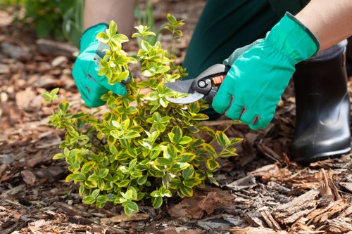 Landscapers Morden pricing for garden waste removal with transparent quotes