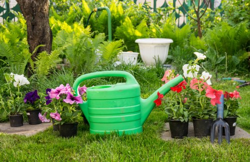 Garden maintenance in Morden with a tidy lawn and trimmed plants