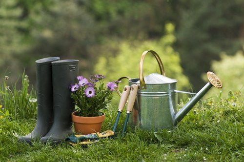Seasonal lawn treatment and maintenance in Morden