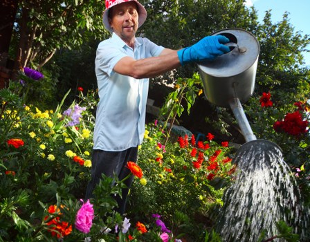 Soft landscaping with flowers and greenery in Morden