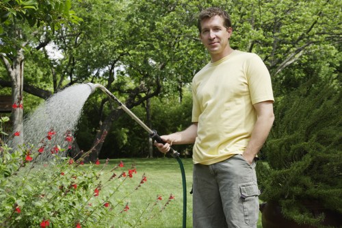 Professional hedge trimming work in a Morden outdoor space