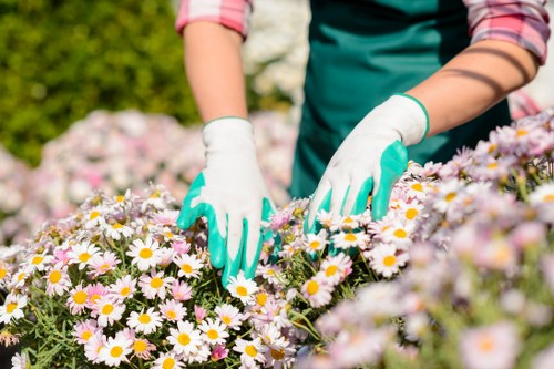 Supplier audit process checking worker welfare and recruitment records