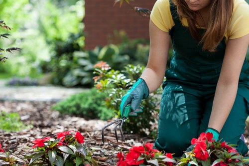 Example landscaping waste clearance job in Morden near busy local streets