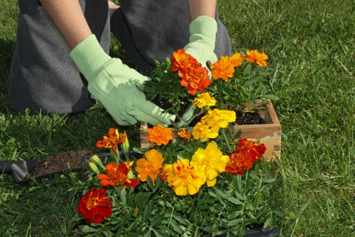 Lawn mowing equipment ready for use in a Morden garden