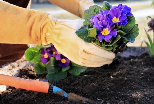 Low-carbon van used for sustainable landscaping waste collection