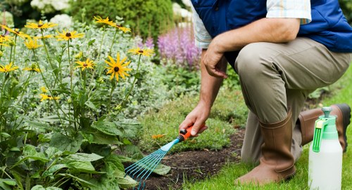 Professional mowing and edging for a residential lawn