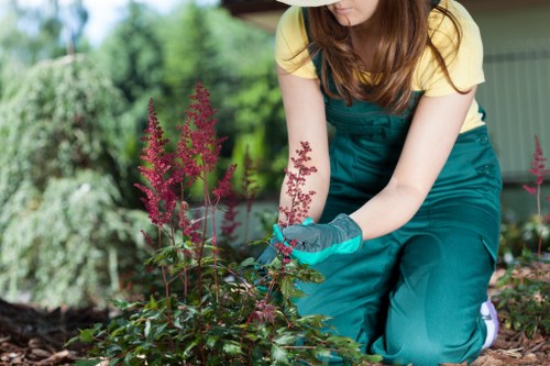 Garden bed preparation and plant installation in Morden