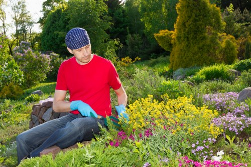 Local planting services improving a residential garden in Morden