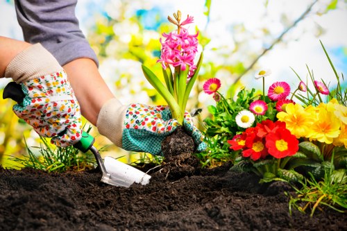 Stylish garden design features for homes in Morden