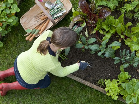 Selected flowering plants for a Morden garden border