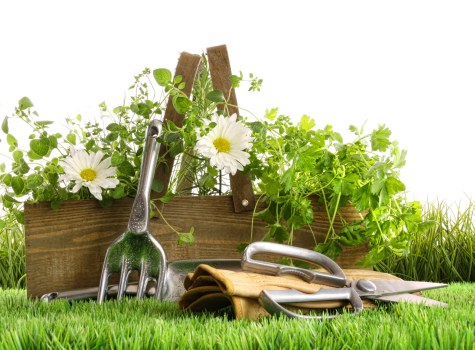 Tidy outdoor space after garden clearance in Morden