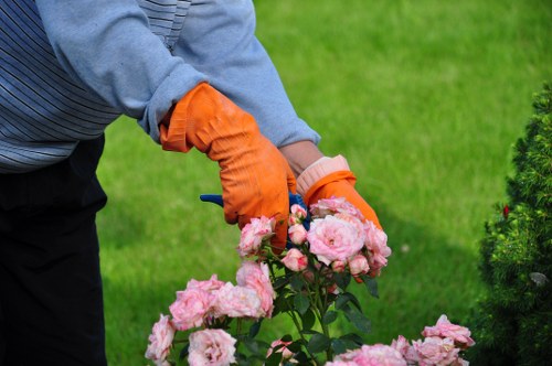 Garden design plan for flower bed creation in Morden