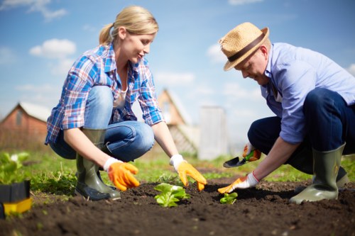 Lawn care for a commercial property outdoor space